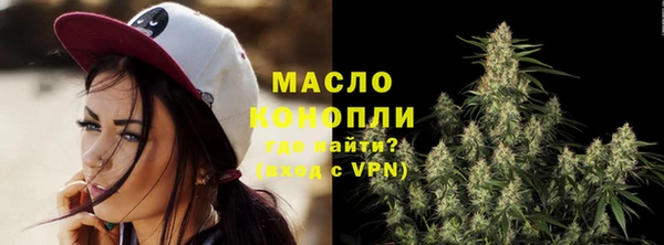 шишки Верея