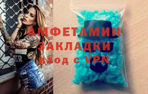 шишки Верея