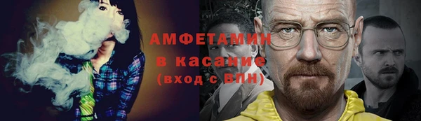 шишки Верея