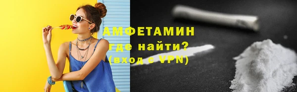 шишки Верея