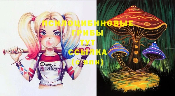 шишки Верея