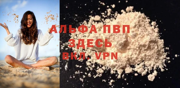 шишки Верея