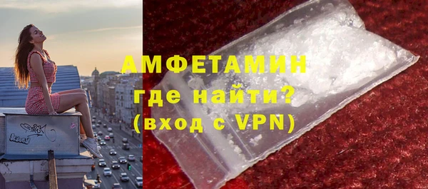 шишки Верея