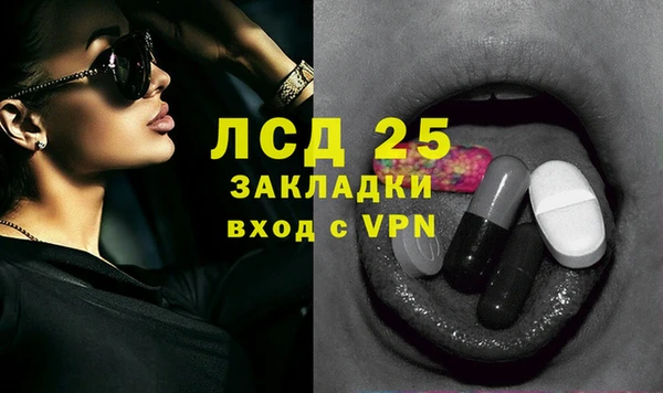шишки Верея