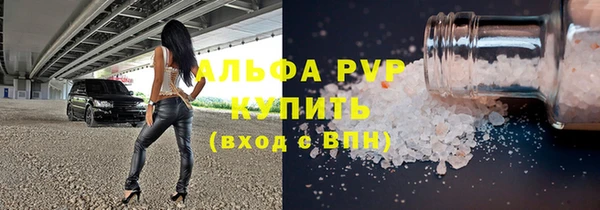 шишки Верея