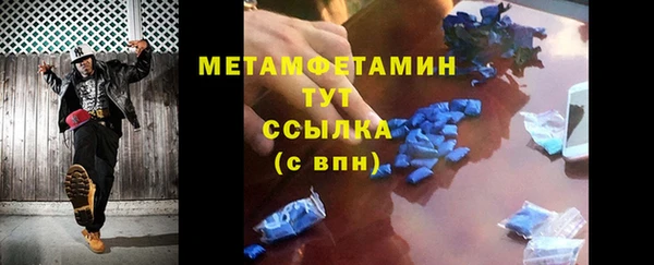 шишки Верея