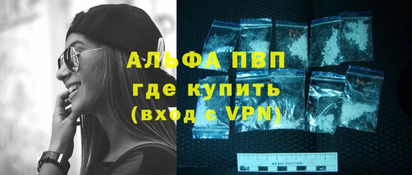 шишки Верея