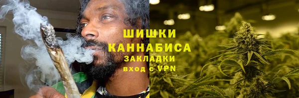 шишки Верея